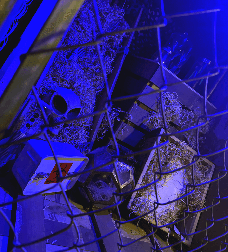 Alien artifacts behind a fence